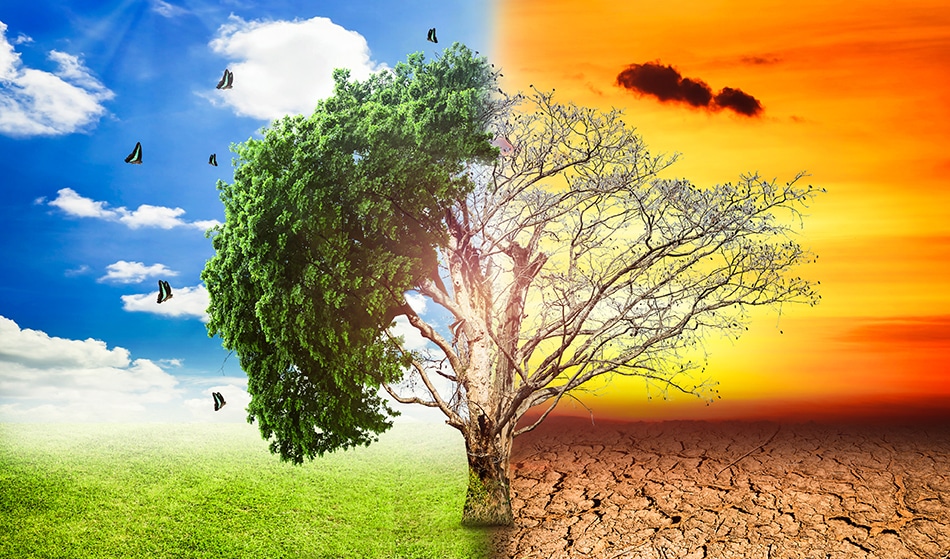 Greenhouse-effect-global-warming