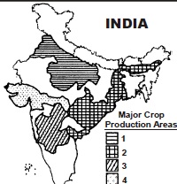 major-crop-production-area-india