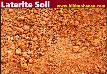 laterite soil