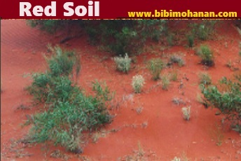 red soil